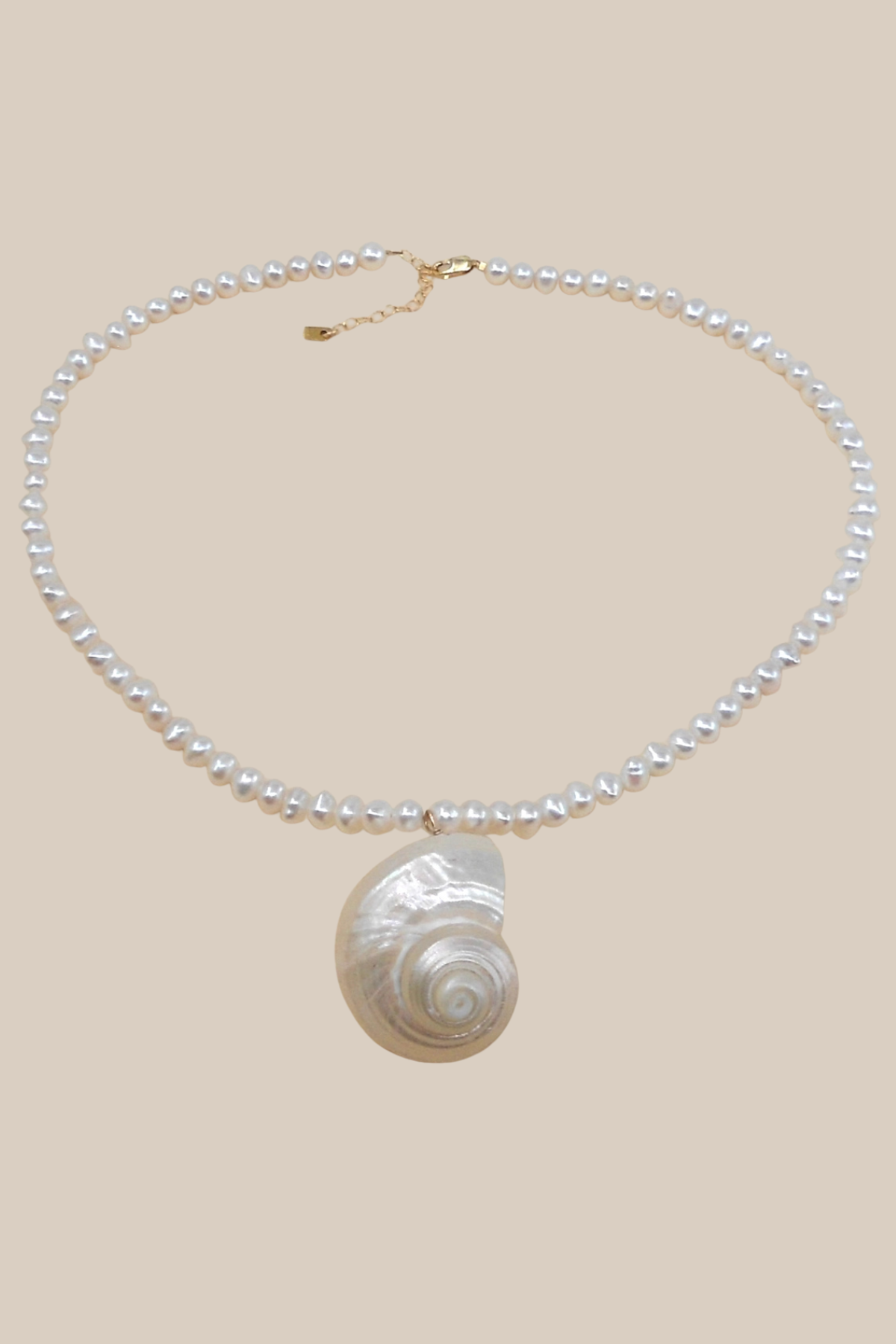 Necklace with a shell pendant on a beige background